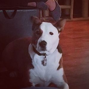 Meet your Posher, Lynn